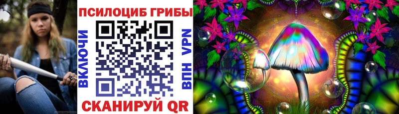 Галлюциногенные грибы Psilocybine cubensis Тихвин